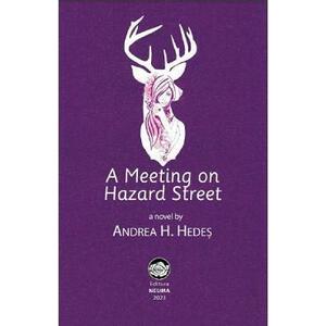 A Meeting on Hazard Street - Andrea H. Hedes imagine