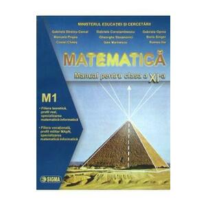 Matematica cls 11 M1 - Gabriela Constantinescu, Costel Chites imagine