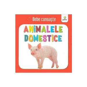 Animalele domestice - Bebe cunoaste imagine