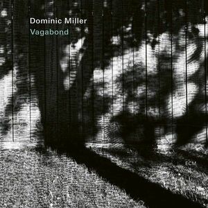 Vagabond | Dominic Miller imagine