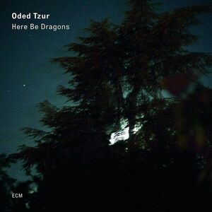 Here Be Dragons - Vinyl | Oded Tzur imagine