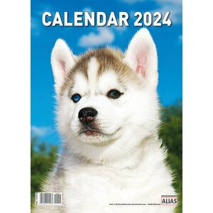 Calendar de perete 2024, 12+1 file Caini imagine