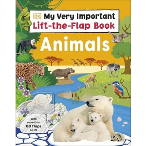 My Very Important Lift the Flap Book: Dinosaurs imagine