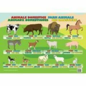 Animale Domestice - Plansa educativa imagine
