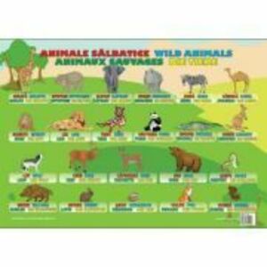 Animale Salbatice - Plansa educativa imagine