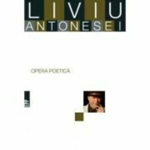 Opera poetica - Liviu Antonesei imagine