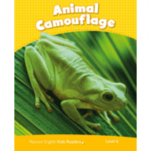 Level 6. Animal Camouflage CLIL - Caroline Laidlaw imagine