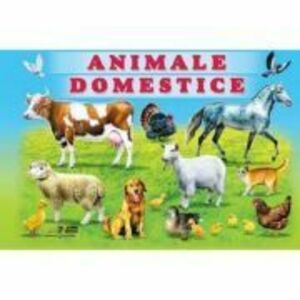 Animale domestice﻿ - Titus Stirbu imagine