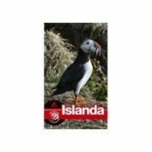 Ghid turistic ISLANDA - Florin Andreescu, Dana Ciolca imagine