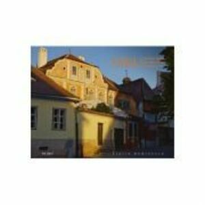 Album Sibiu, Cetatea Rosie. Romana, engleza, germana - Florin Andreescu imagine