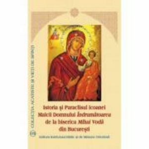 Istoria si Paraclisul icoanei Maicii Domnului Indrumatoarea de la biserica Mihai Voda din Bucuresti - Aprobarea Sfantului Sinod imagine