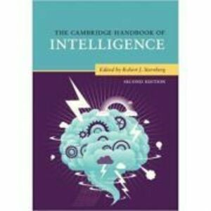 The Cambridge Handbook of Intelligence - Robert J. Sternberg imagine