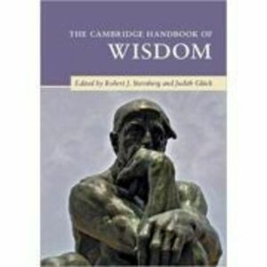 The Cambridge Handbook of Wisdom - Robert J. Sternberg, Judith Gluck imagine