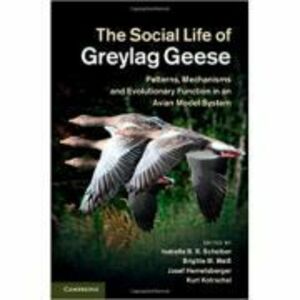 The Social Life of Greylag Geese: Patterns, Mechanisms and Evolutionary Function in an Avian Model System - Isabella B. R. Scheiber, Brigitte M. Weib, imagine