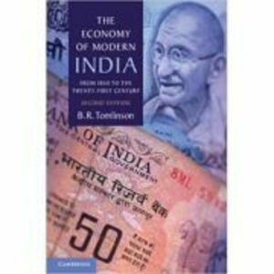 The Economy of Modern India: From 1860 to the Twenty-First Century - B. R. Tomlinson imagine