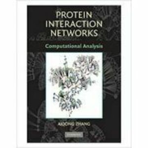 Protein Interaction Networks: Computational Analysis - Aidong Zhang imagine