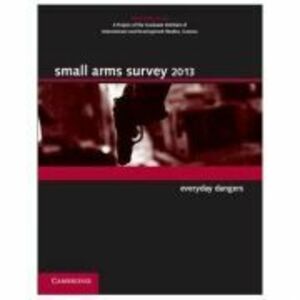Small Arms Survey 2013: Everyday Dangers imagine