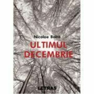 Ultimul decembrie - Nicolae Balta imagine