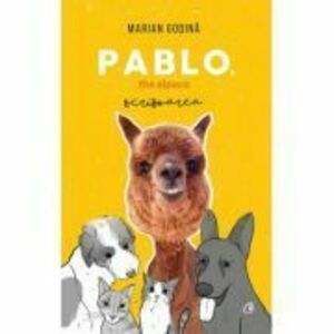 Pablo the alpaca. Scrisoarea imagine