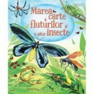Marea carte a fluturilor si a altor insecte (Usborne) - Usborne Books imagine