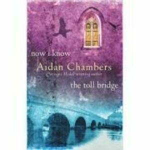 Now I Know & The Toll Bridge - Aidan Chambers imagine