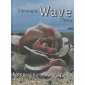 Dominant Wave Theory - Andrew Hughes, David Carson imagine