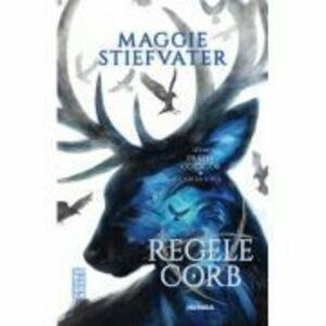 Regele Corb | Maggie Stiefvater imagine