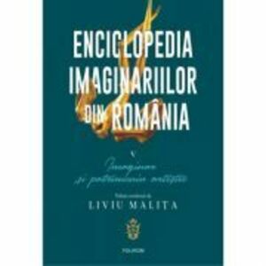 Enciclopedia imaginariilor din Romania. Volumul 5. Imaginar si patrimoniu artistic - Liviu Malita imagine