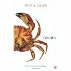 Crudo - Olivia Laing imagine