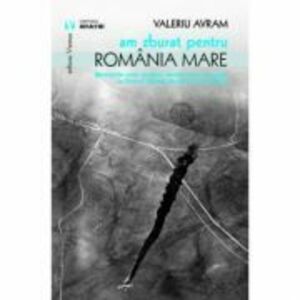 Am zburat pentru Romania Mare - Valeriu Avram imagine