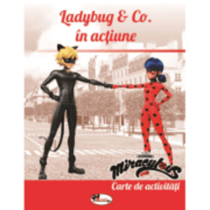 Ladybug & Co in actiune. Carte de activitati imagine