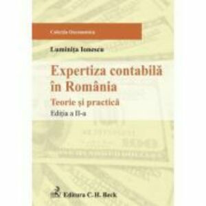 Expertiza contabila in Romania - Luminita Ionescu imagine