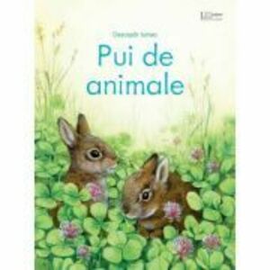 Pui de animale (Usborne) - Usborne Books imagine