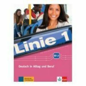 Linie 1 B1. 1, Kurs- und Übungsbuch mit DVD-ROM. Deutsch in Alltag und Beruf - Stefanie Dengler imagine