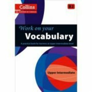 Work on Your… - Vocabulary B2. A practice book for learners at Upper Intermediate level imagine