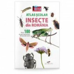 Atlas scolar. Insecte din Romania imagine