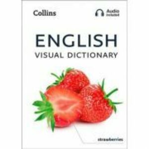 English Visual Dictionary. A photo guide to everyday words and phrases in English imagine