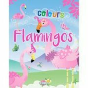Flamingos Colours (roz) imagine