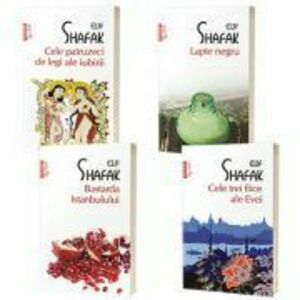 Serie de autor Elif Shafak. Cele trei fiice ale Evei, Bastarda Istanbulului, Lapte negru, Cele patruzeci de legi ale iubirii (set de 4 carti) imagine