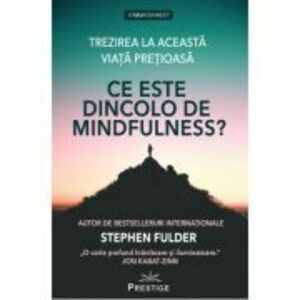 Ce este dincolo de Mindfulness? - Stephen Fulder imagine