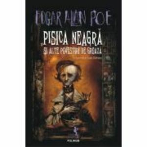 Pisica neagra si alte povestiri de groaza (editia 2022) - Edgar Allan Poe imagine