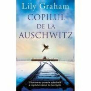 Copilul de la Auschwitz - Lily Graham imagine