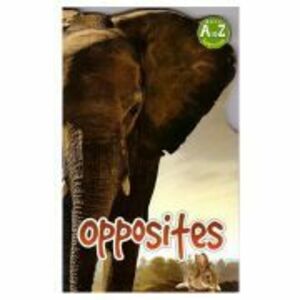 Opposites. A to Z learning imagine
