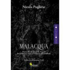 Malaqua - Nicola Pugliese imagine