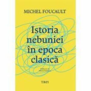 Istoria nebuniei in epoca clasica - Michel Foucault imagine