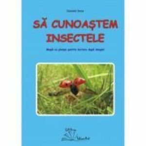 Sa cunoastem insectele - Daniela Dosa imagine
