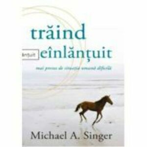 Traind neinlantuit - Michael A. Singer imagine