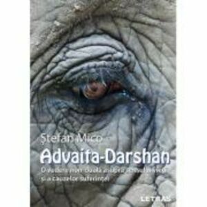 Advaita-Darshan - Stefan Mico imagine