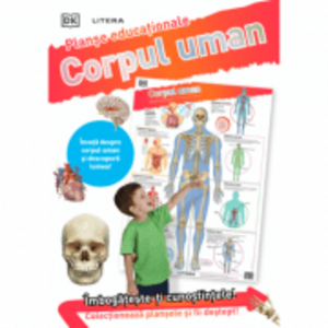 Corpul uman. Planse educationale imagine