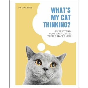 What's My Cat Thinking? imagine